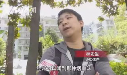 91岁老人去世直播,一场跨越时空的告别直播